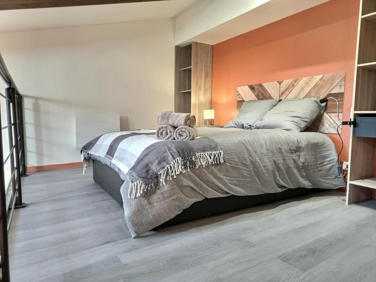 Apartamento Le Coquelicot - Hyper-Centre - Wifi - Calme Albi Exterior foto