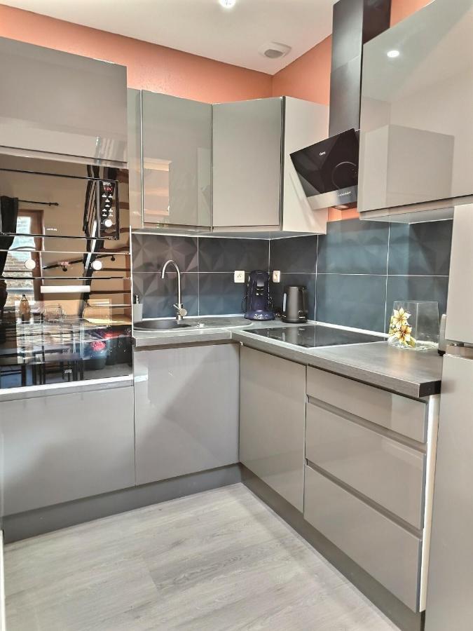 Apartamento Le Coquelicot - Hyper-Centre - Wifi - Calme Albi Exterior foto